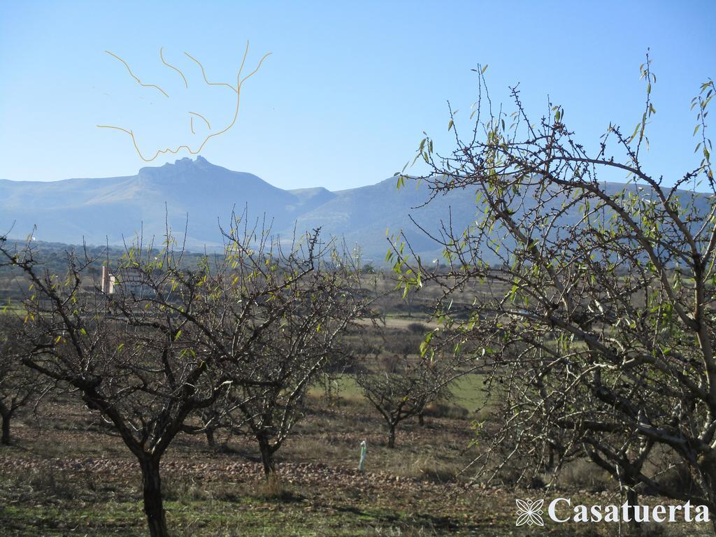 Villa Casa Tuerta à Alcalá de Moncayo Extérieur photo